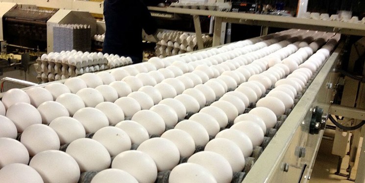 رشد 5 درصدی  تولید تخم مرغ و کاهش 60 درصدی واردات سویا پس از حذف ارز 4200 تومانی
