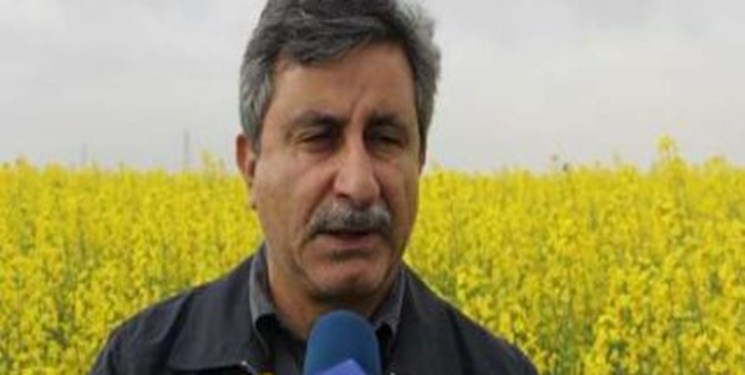 سازمان محصولات صنعتی تشکیل می‌شود