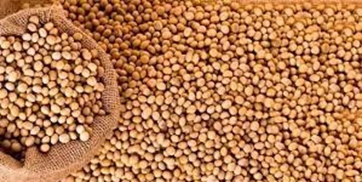 بازار کنجاله سویا آرام گرفت/ عرضه 200 هزار تن کنجاله توسط کارخانجات روغنکشی