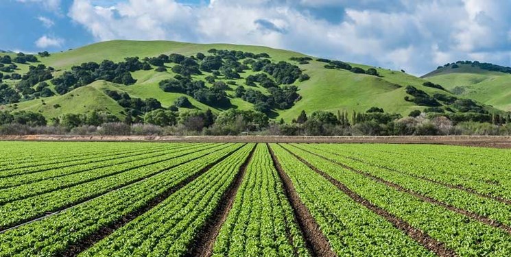 ضرورت تسریع در تشکیل شورای عالی خاک‌
