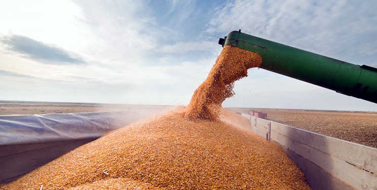 پیش بینی گران تر شدن مواد غذایی در جهان