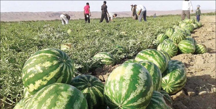 افزایش حداقل ۱۰۰ درصدی تعرفه های صادراتی محصولات آب بر