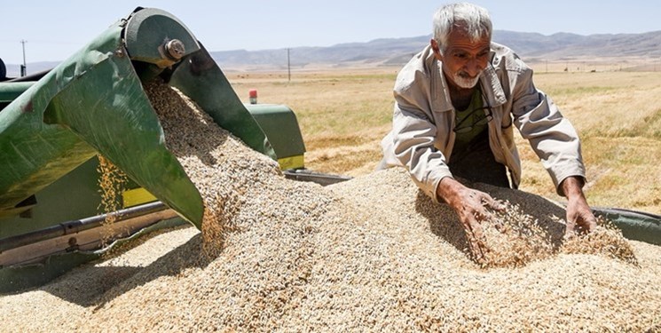 کاهش جهانی قیمت کالاهای اساسی /  نرخ  گندم 6.5 دلار در یک روز کاهش یافت