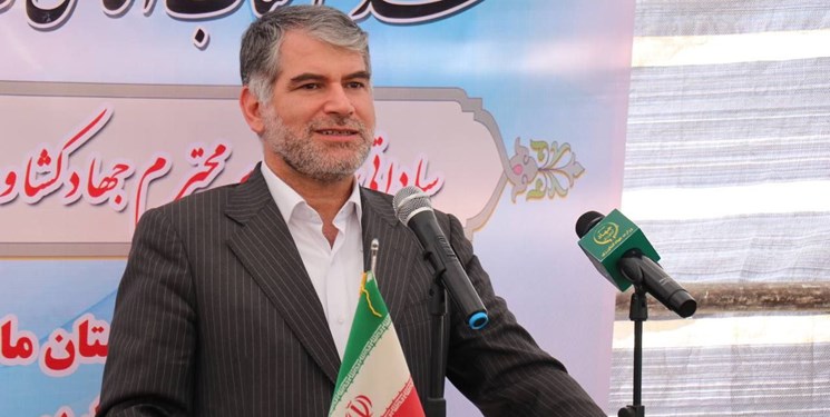 رشد 25 درصدی تولید برنج‌/ مشوق‌های کاهش مصرف آب در بخش کشاورزی‌ ابلاغ می‌شود
