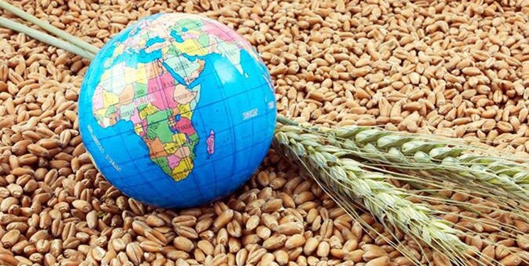 دستیابی به هدف امنیت غذایی در برنامه ششم محقق نشد