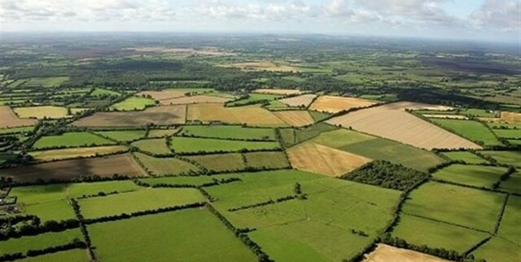 «الگوی کِشت» پس از ده‌ها سال معطلی رونمایی شد