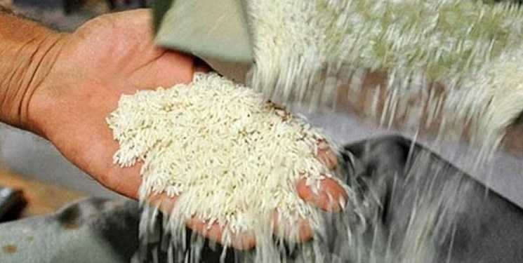 یک بام و دو هوایی در بازار برنج