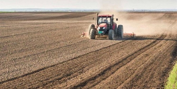 5 پیشنهاد برای جهش تولید در دیم­زارهای کشور