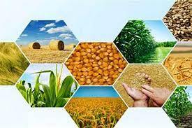 تاخیر ۳۰ روزه در تعیین قیمت خرید تضمینی محصولات کشاورزی
