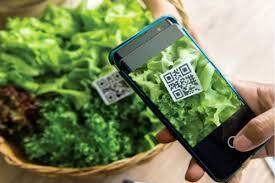 عرضه محصولات گلخانه ای با شناسه QR کد از فردا