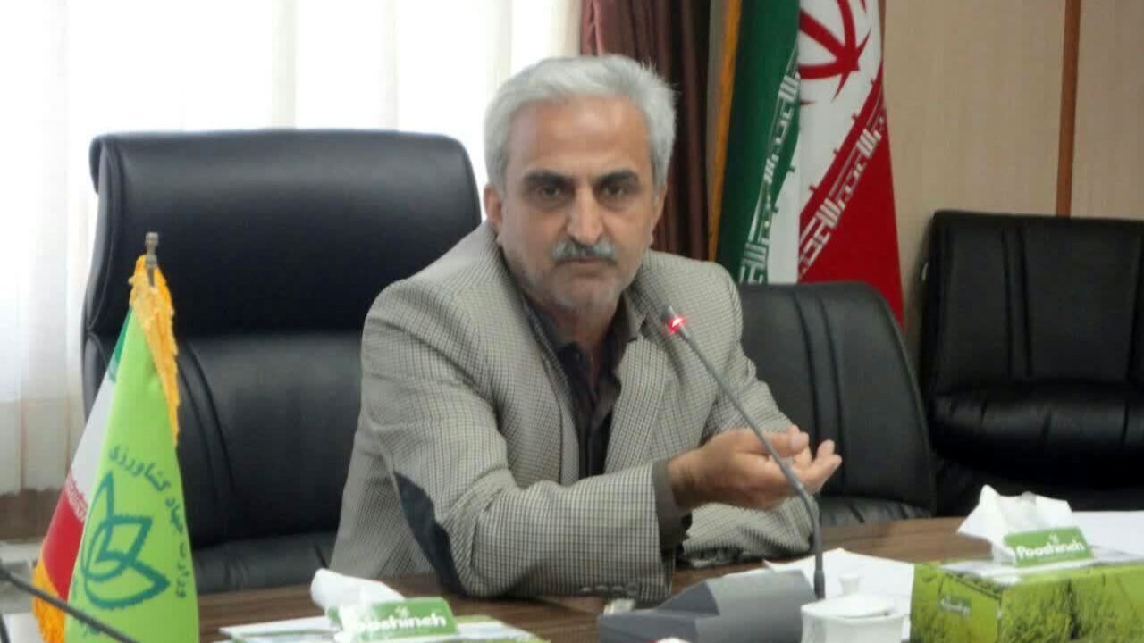 افزایش هزینه‌های تولید چای، منجر به افزایش قیمت چای شد