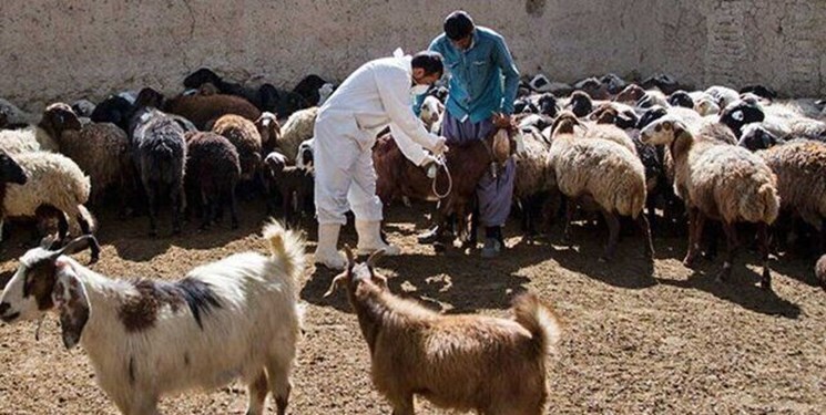 ۲۲ میلیون خدمت رایگان در ۳۴ رزمایش ملی جهادی